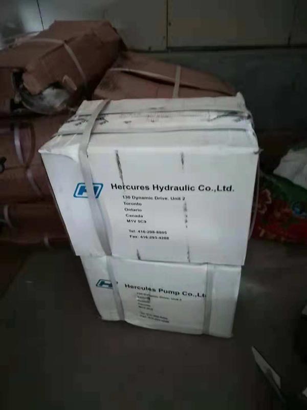 草莓APP视频在线观看高清压路机振动泵